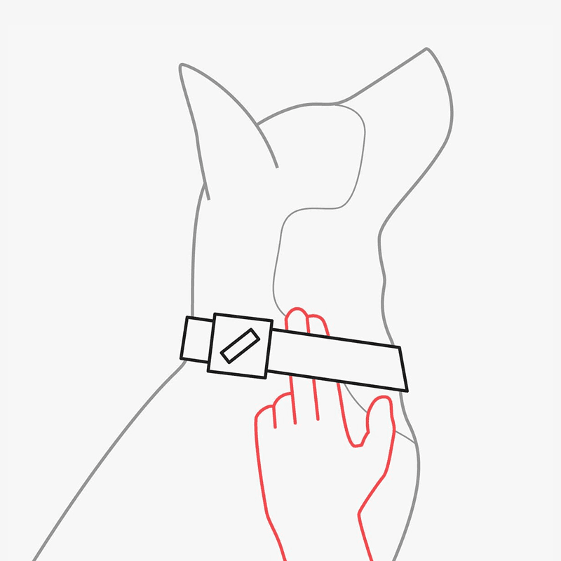 Frame 1321314596.png