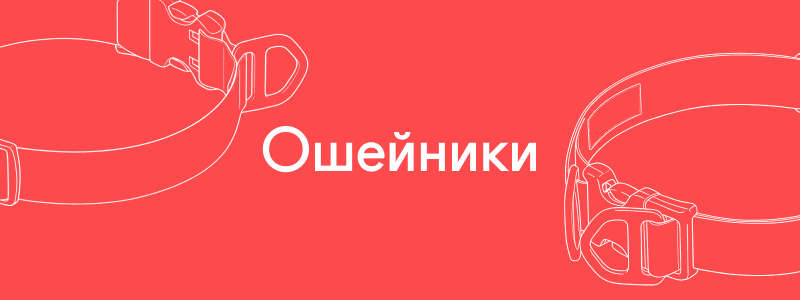 image bg (1).png