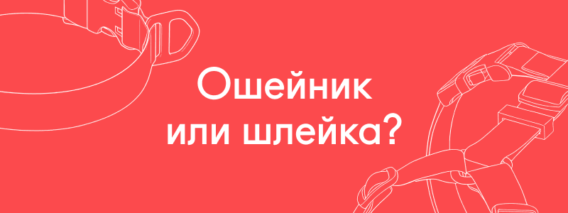 image bg (2).png