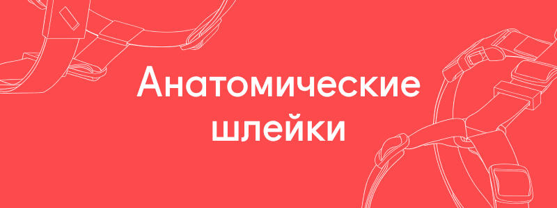 image bg.png